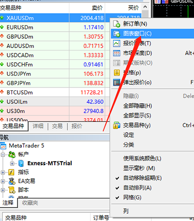 MT5,品种窗口