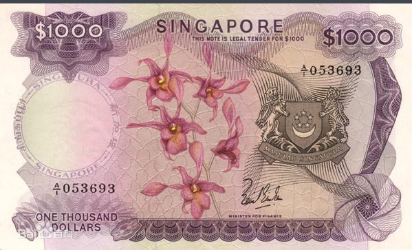 新加坡流通的钞票有:10000元,1000元,100元,50元,10元,5元,2元面额的
