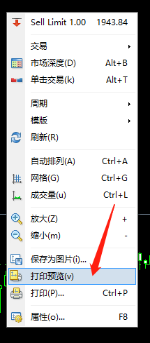 打印预览