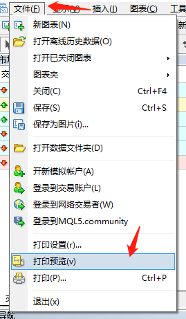 打印预览