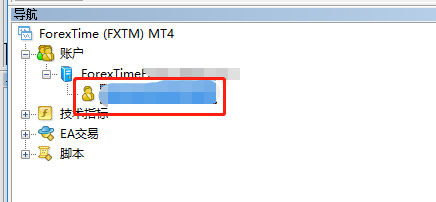 mt4账户