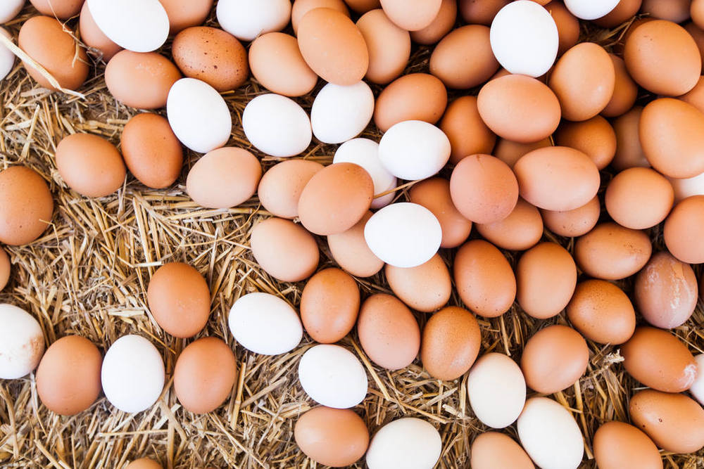 鸡蛋期货可以进行换月套利交易吗？