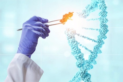锦波生物2025上半年营收8.59亿元，同比增长42.43%