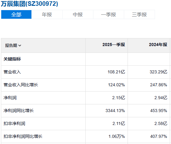 万辰集团利润表