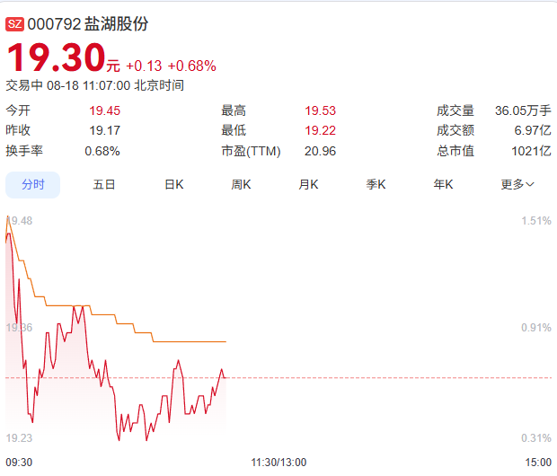 盐湖股份股票走势