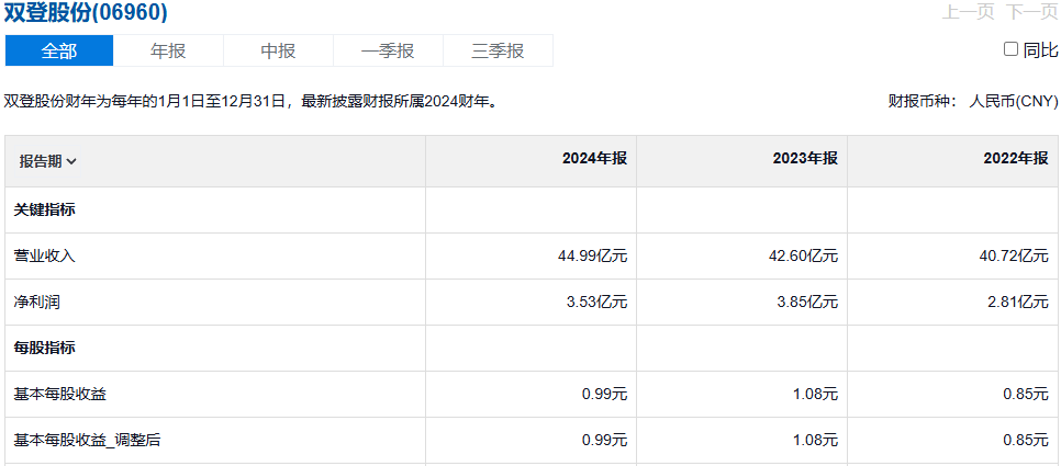 双登集团利润表