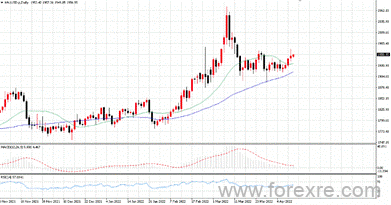 点击看大图 TMGM每日市场(04月12日)