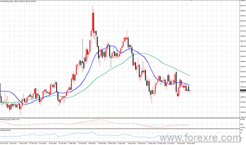 点击看大图 TMGM每日市场(06月28日)