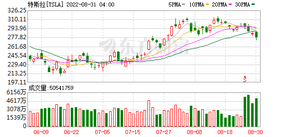 K图 TSLA_0