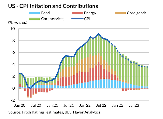 美国消费价格指数通胀贡献率(图源：惠誉评级供图)