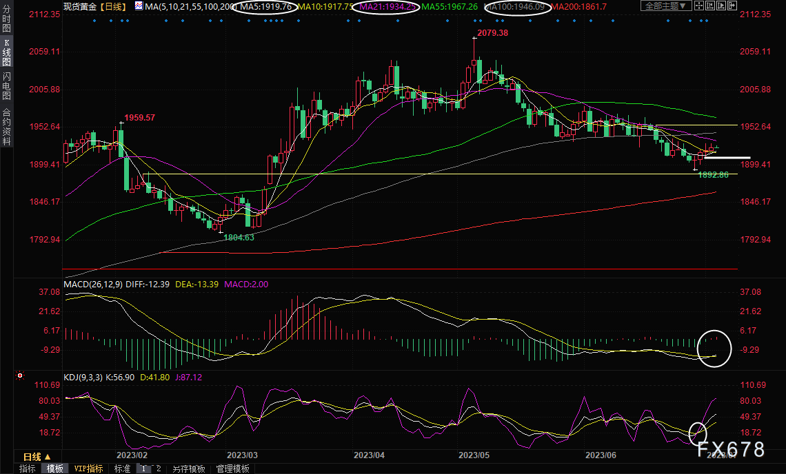 现货黄金交易策略：美联储会议纪要来袭，多头“蠢蠢欲动”(图1)