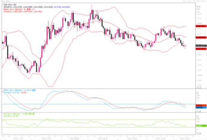 图片点击可在新窗口打开查看