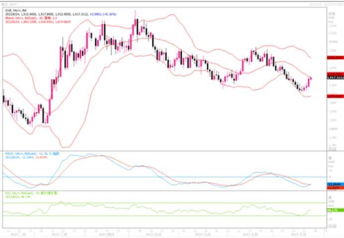 图片点击可在新窗口打开查看