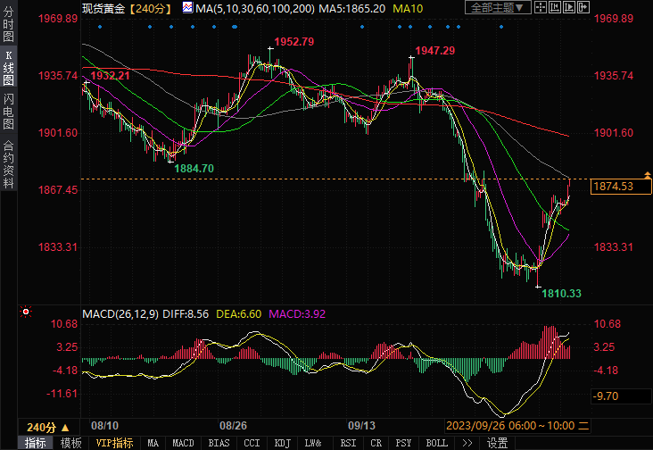 黄金正在为下一轮上涨蓄势待发，目标是1880美元/盎司(图1)