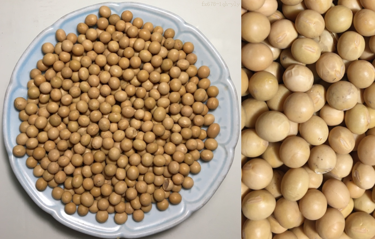 CBOT大豆可能测试支撑位1375美分