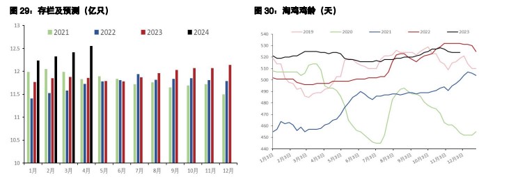 关联品种鲜鸡蛋生猪所属公司：五矿期货