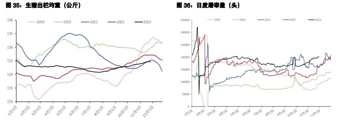 关联品种鲜鸡蛋生猪所属公司：五矿期货