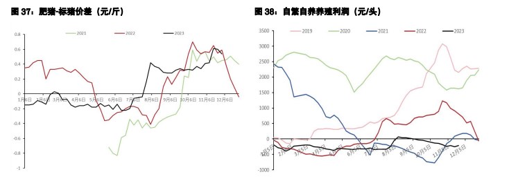 关联品种鲜鸡蛋生猪所属公司：五矿期货