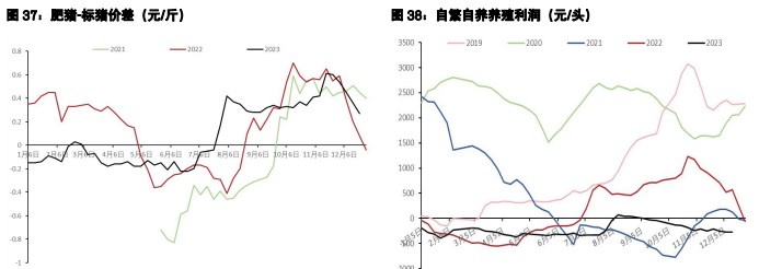 关联品种鲜鸡蛋生猪所属公司：五矿期货