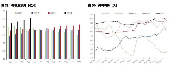 关联品种鲜鸡蛋生猪所属公司：五矿期货