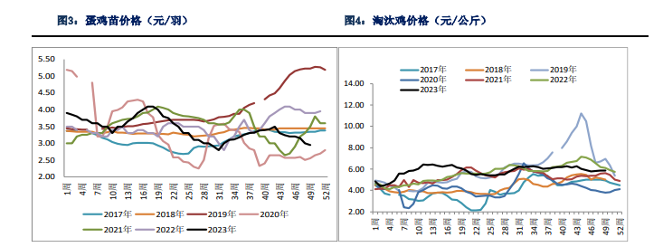 关联品种鲜鸡蛋所属公司：银河期货