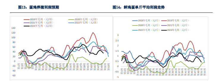 关联品种鲜鸡蛋所属公司：银河期货