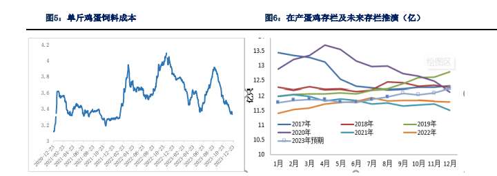 关联品种鲜鸡蛋所属公司：银河期货