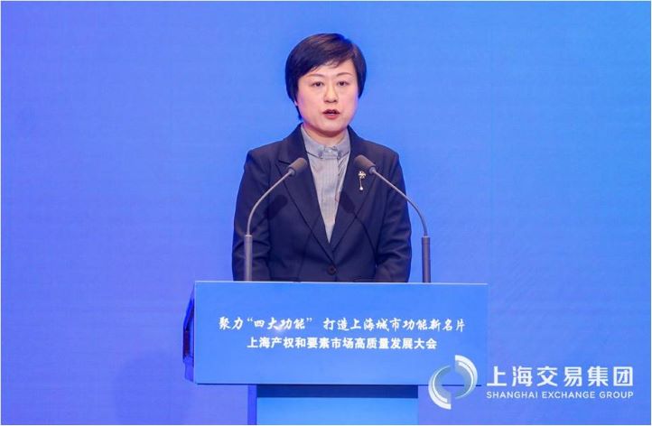 (国务院国资委产权局副局长任雅林发言)