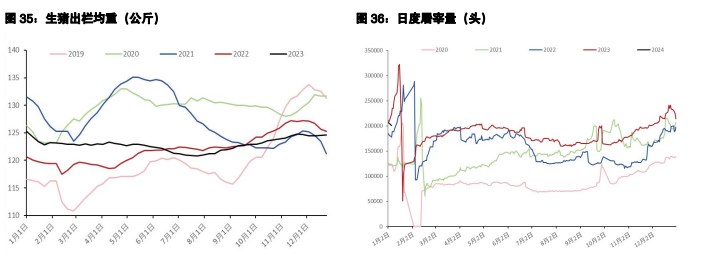 关联品种鲜鸡蛋生猪所属公司：五矿期货