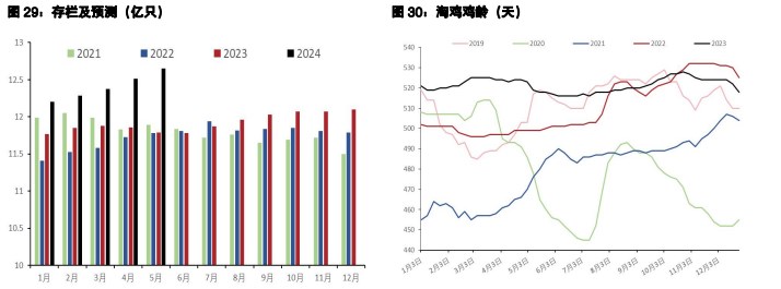 关联品种鲜鸡蛋生猪所属公司：五矿期货