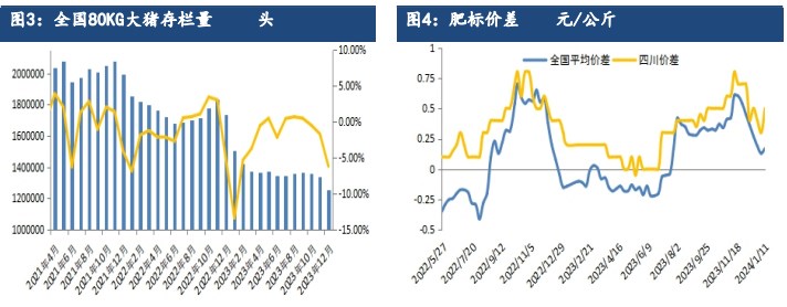 关联品种生猪所属公司：建信期货