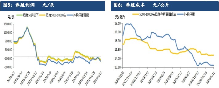 关联品种生猪所属公司：建信期货