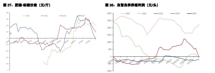 关联品种生猪所属公司：五矿期货