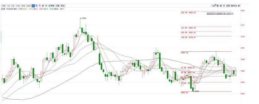 关联品种纯碱尿素PTA甲醇所属公司：金信期货