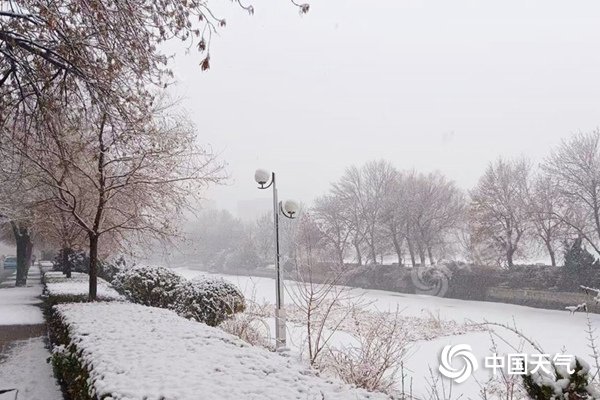 昨天，天津出现明显降雪天气。（图/张青森）