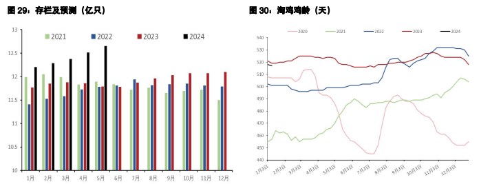 关联品种生猪所属公司：五矿期货