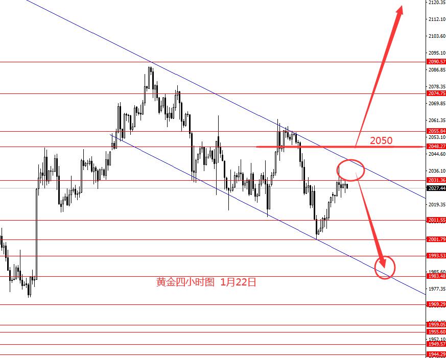 张果彤：欧元黄金继续下行概率较大