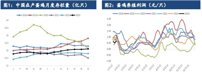 所属公司：建信期货