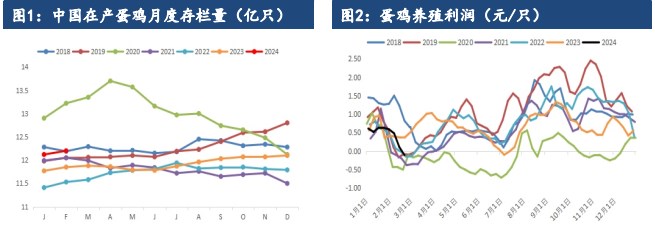 所属公司：建信期货