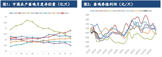 所属公司：建信期货