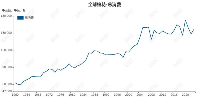 关联品种棉花所属公司：大越期货