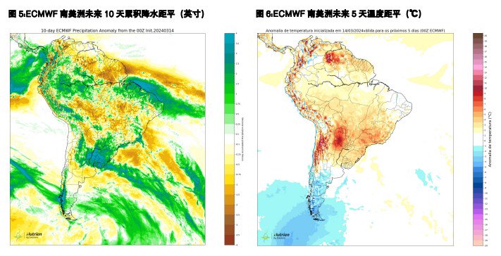 关联品种豆粕棕榈油豆油菜籽油所属公司：五矿期货