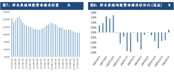 关联品种生猪所属公司：建信期货