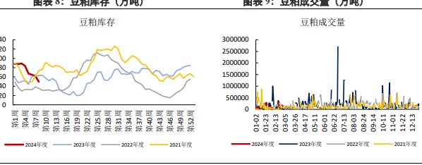 关联品种豆粕所属公司：兴证期货