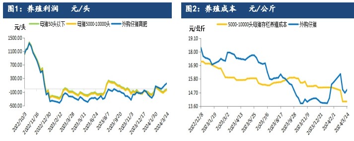 关联品种生猪所属公司：建信期货