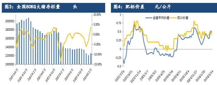 关联品种生猪所属公司：建信期货