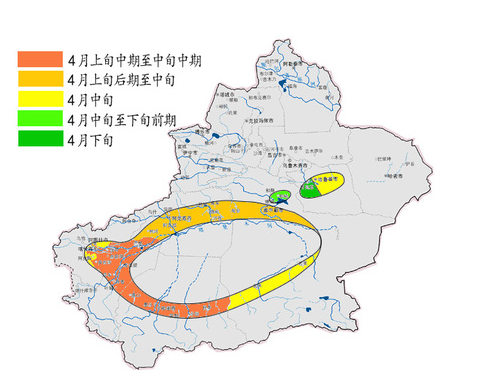     2024年南疆棉花适播期预测示意图