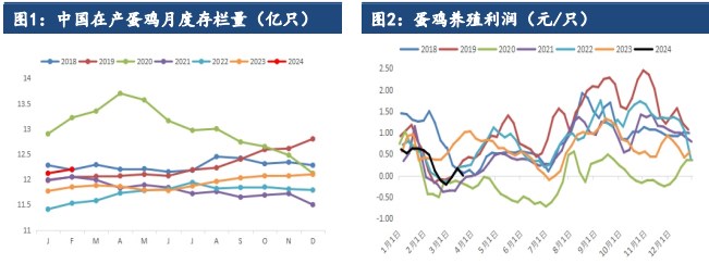 所属公司：建信期货