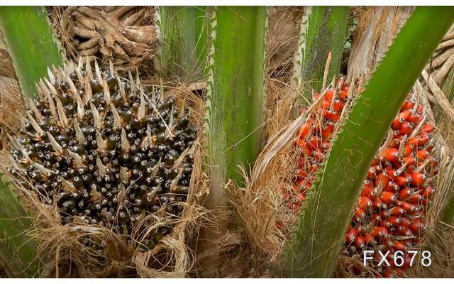 图片点击可在新窗口打开查看