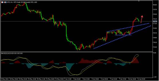 盛文兵：市场焦点转向美通胀数据，原油寄望燃料需求上升